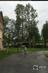 Mahesh Babu Family London Trip Photos